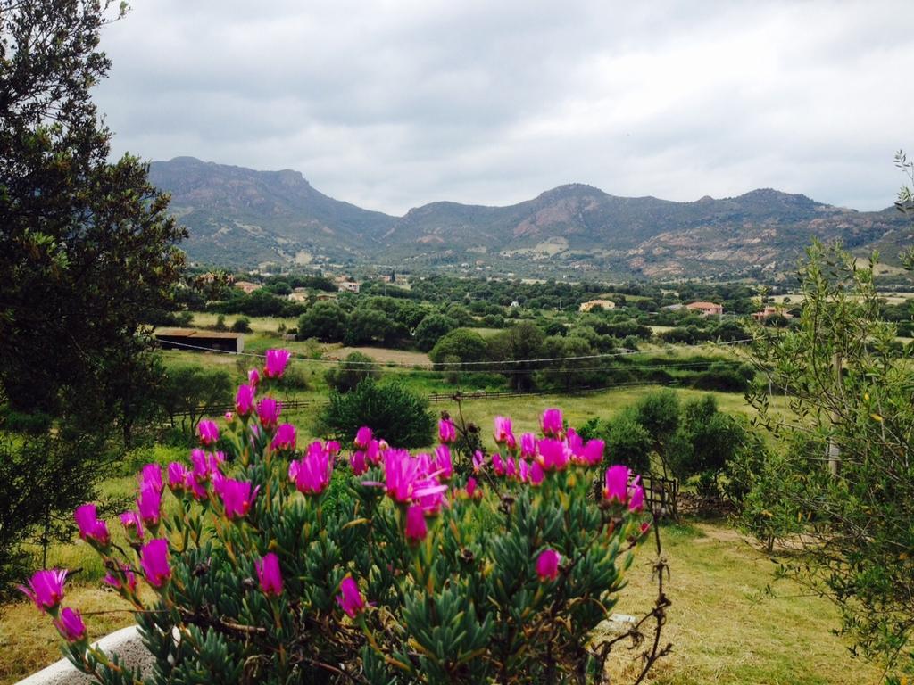 Agriturismo La Casa Delle Fate Loiri Porto San Paolo Exteriér fotografie
