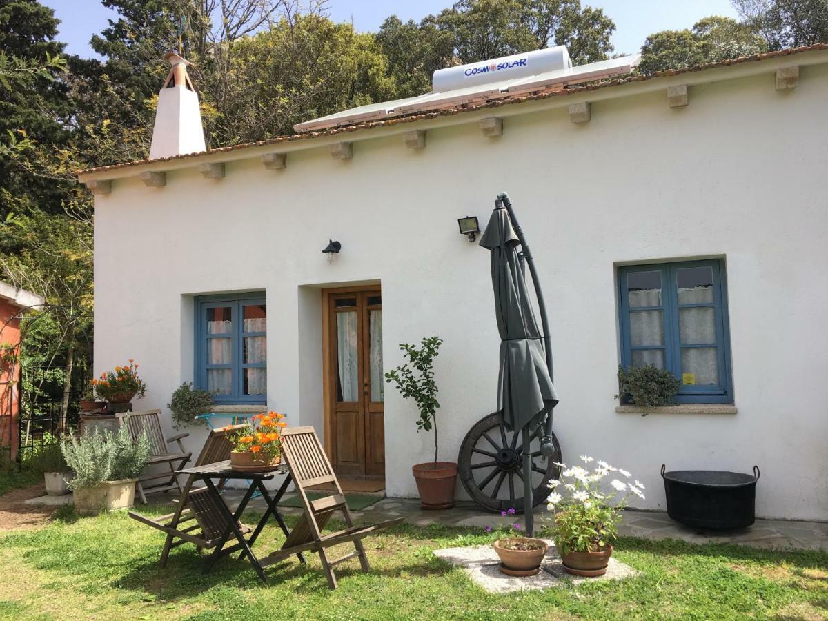 Agriturismo La Casa Delle Fate Loiri Porto San Paolo Exteriér fotografie